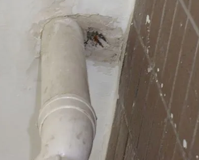 阿里地漏水检测哪家好